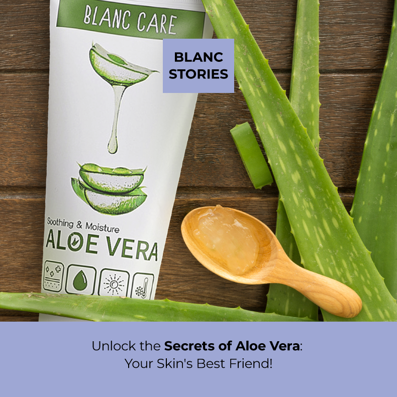 Unlock the Secrets of Aloe Vera: Your Skin's Best Friend!