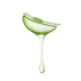 Vegan Aloe Soothing Gel